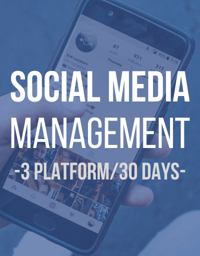 Social Media Management 3
